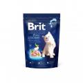 Brit Premium by Nature Cat Kitten 1,5 kg