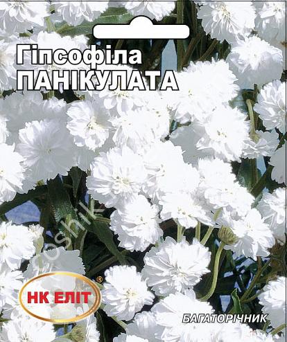 Семена овощей по каталогу Семена овощей по каталогу