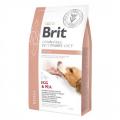 Brit GF VetDiets Dog Renal 2 kg 