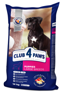 CLUB 4 PAWS Premium сухой курица щенки большие породы 14 кг